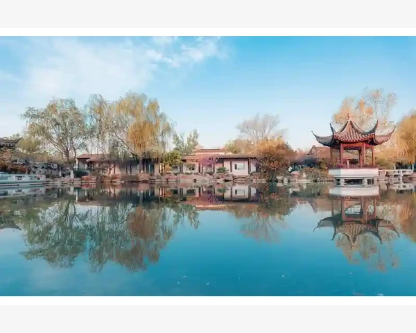 宝宝宣肺止咳化痰：中医科普之道