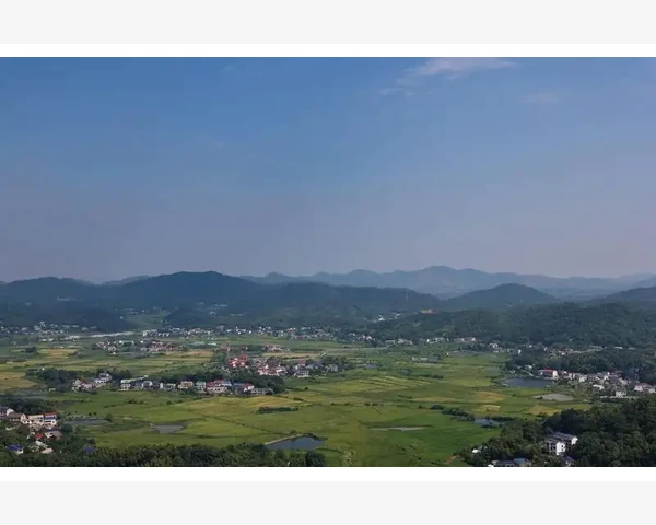 会计做账汇率实务操作要点详解